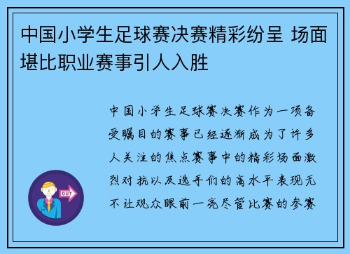 中国小学生足球赛决赛精彩纷呈 场面堪比职业赛事引人入胜